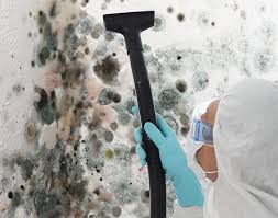 Best Mold Damage Restoration  in Thomasville, NC